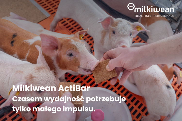 Innowacja Trouw Nutrition: Milkiwean ActiBar