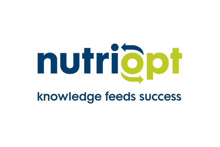 NutriOpt Actionable Insights (profilowanie i doradztwo żywieniowe)
