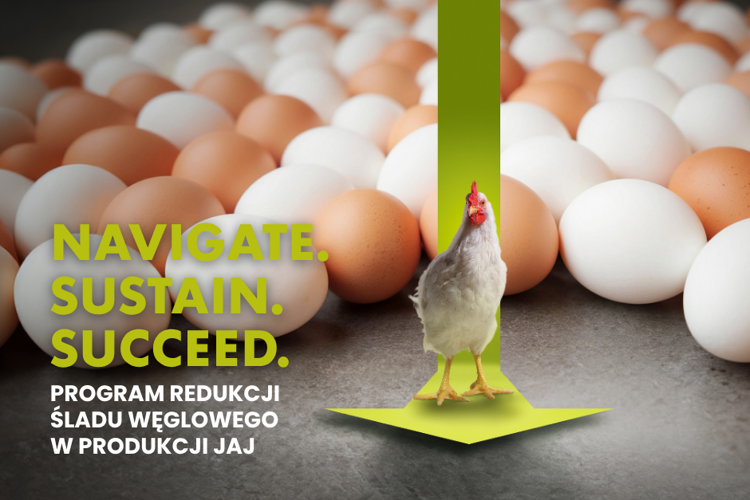 Program redukcji śladu węglowego w produkcji jaj