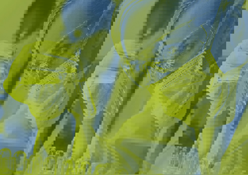 Quality Feeds Value