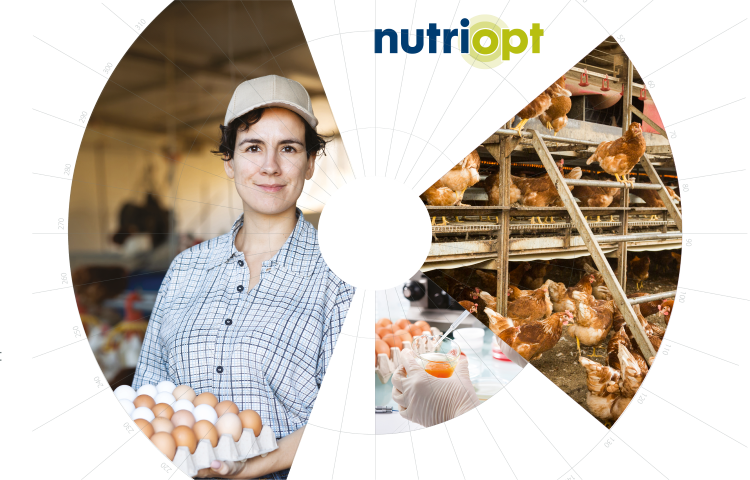 MyEggPrint - nowa era zrównoważonej produkcji jaj