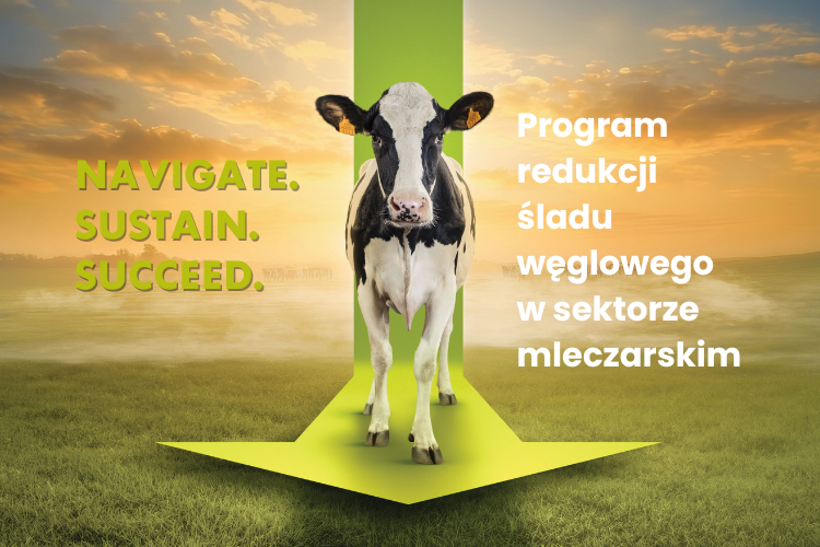 Program redukcji śladu węglowego w sektorze mleczarskim