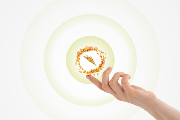 Sustainability at your fingertips